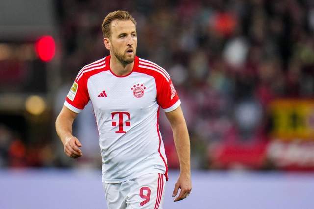 都是一年一 都是一年一