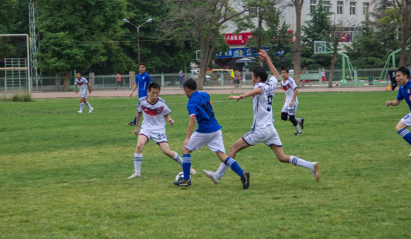 帮助美国找 帮助美国找